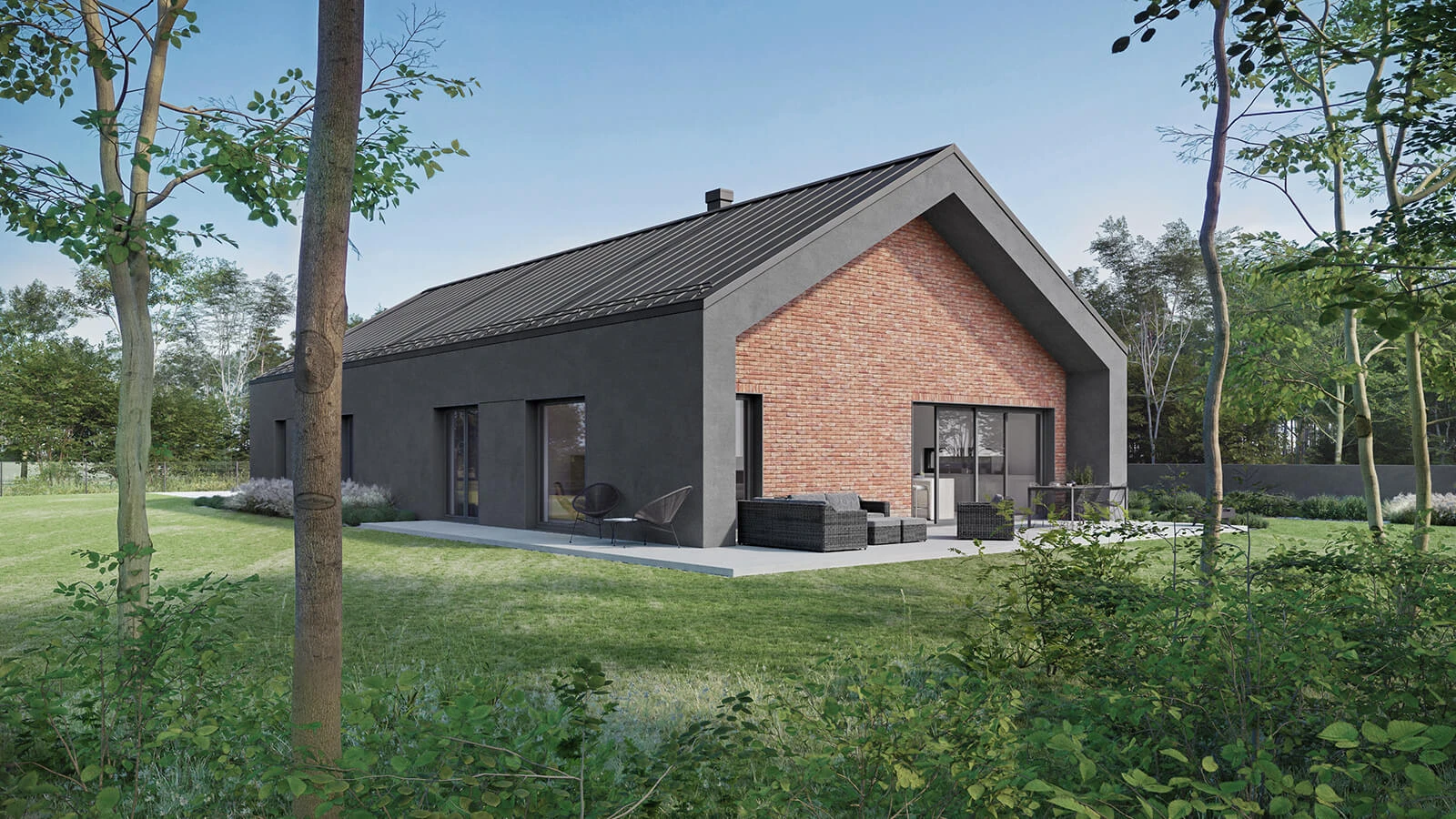 dzc-0811-dom-dbg_24-12