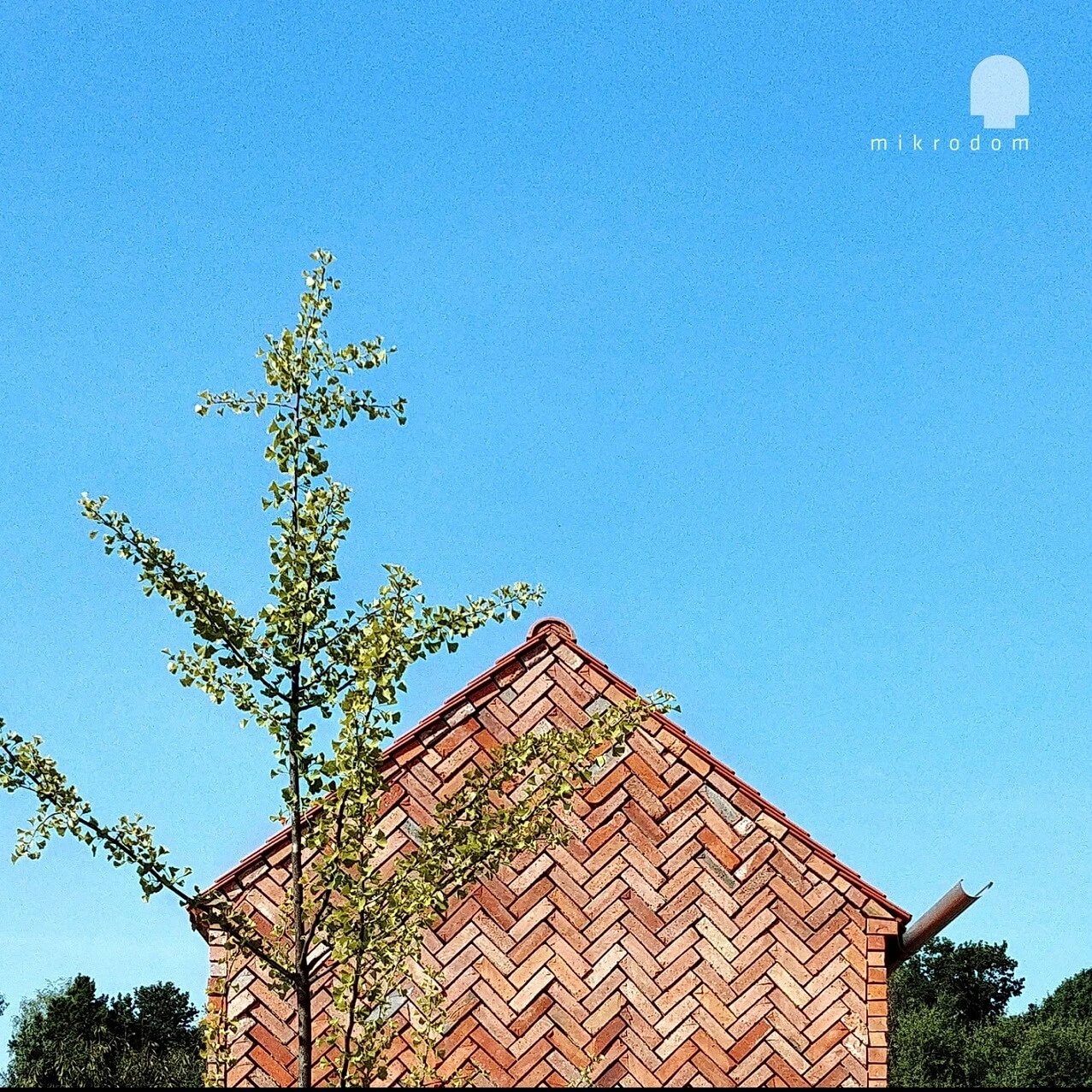 dzc-0415-mikrodom-13
