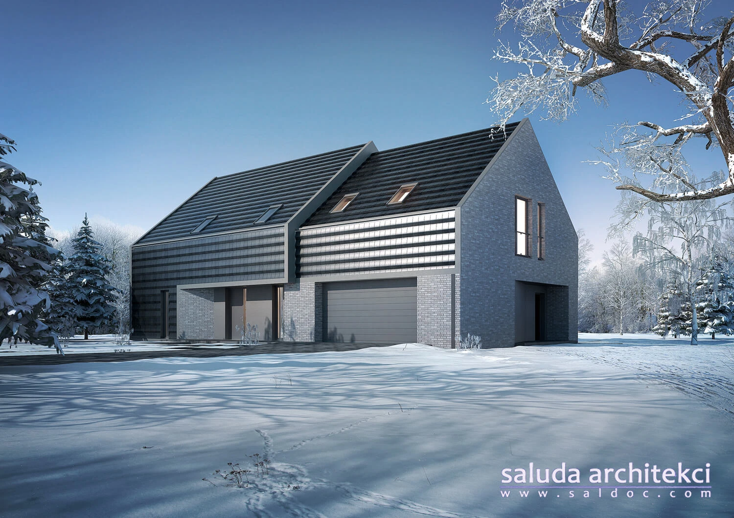 dzc-0192-dom-jednorodzinny-w-bloniach-02