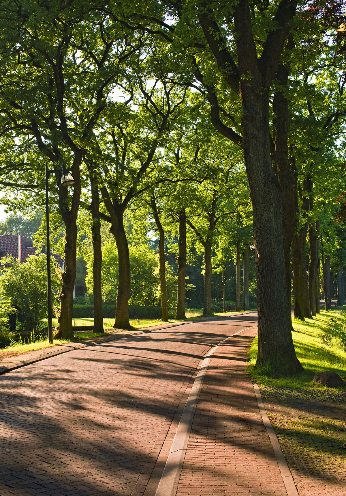 realizacja-medoc-huwa-03