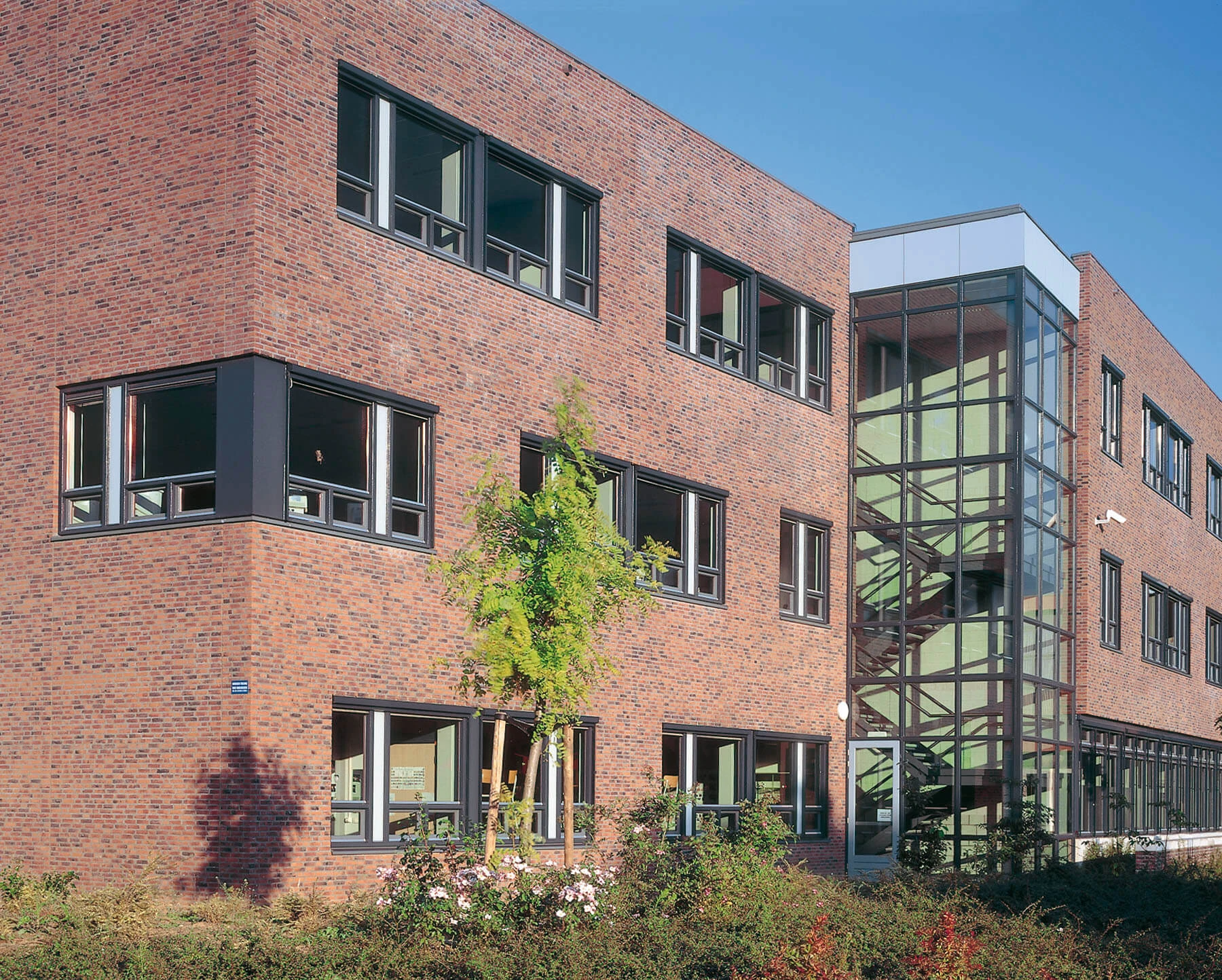 309-carmine-gs-realizacja-01-lg