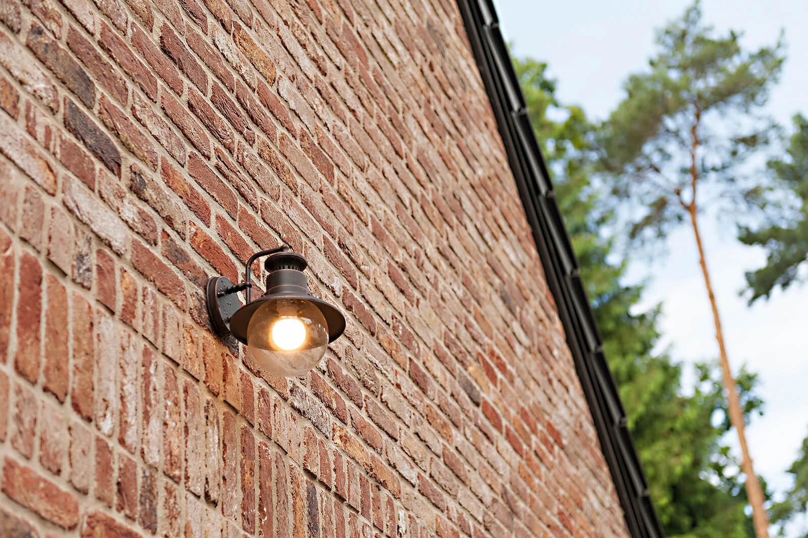 dzc-0783-dom-w-stylu-angielskim-02