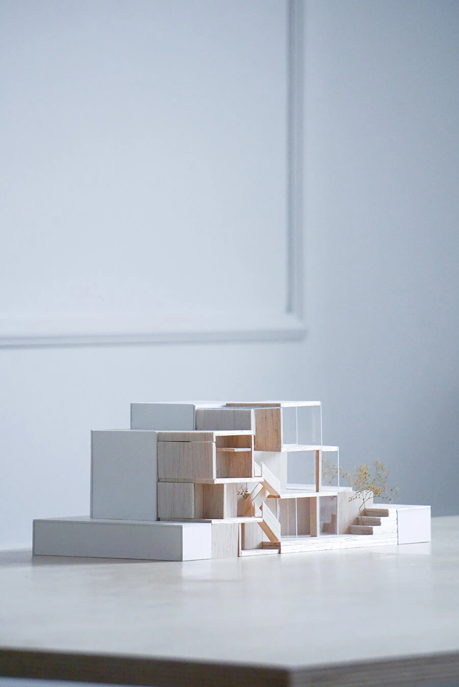 dzc-0617-slim-house-19