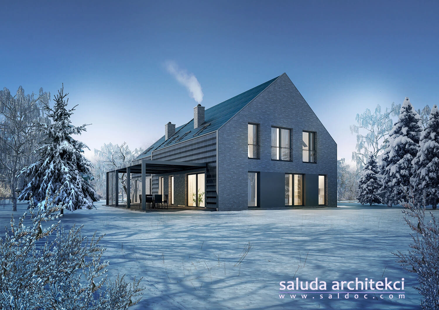 dzc-0192-dom-jednorodzinny-w-bloniach-01