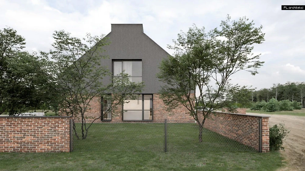 dzc-0134-dom-jednorodzinny-pal_2-11