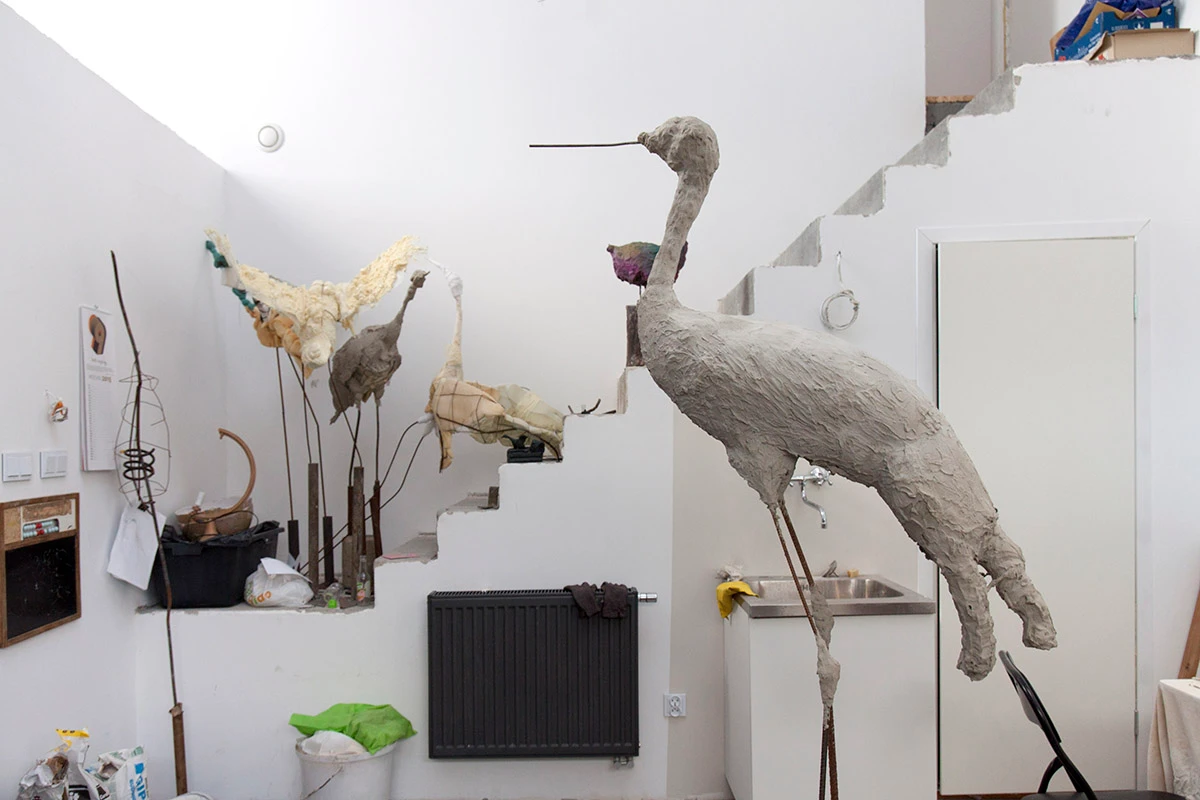 dzc-0117-dom-w-bojanie-04