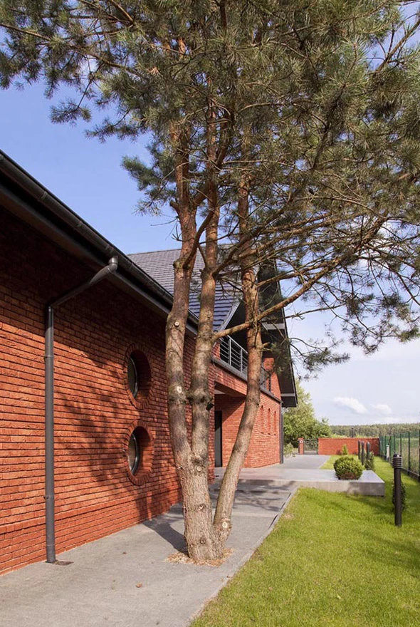 DzC0074-Dom-w-Skórce-9