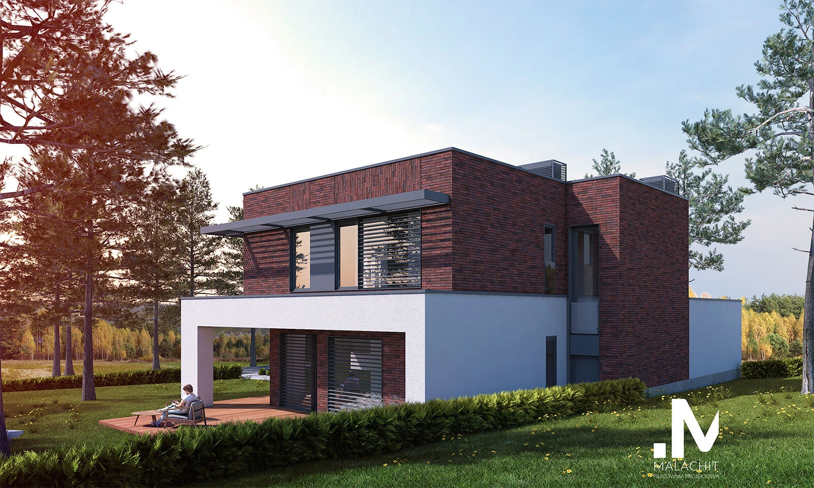 dzc-0333-dom-jednorodzinny-crastinus-02