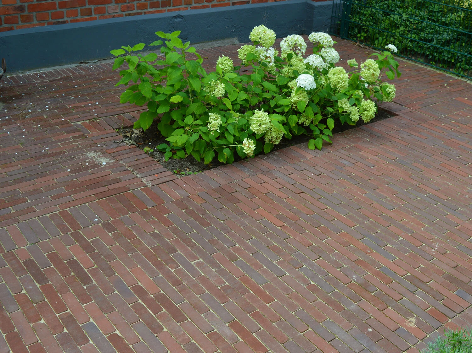 novara-antica-realizacja-03-lg