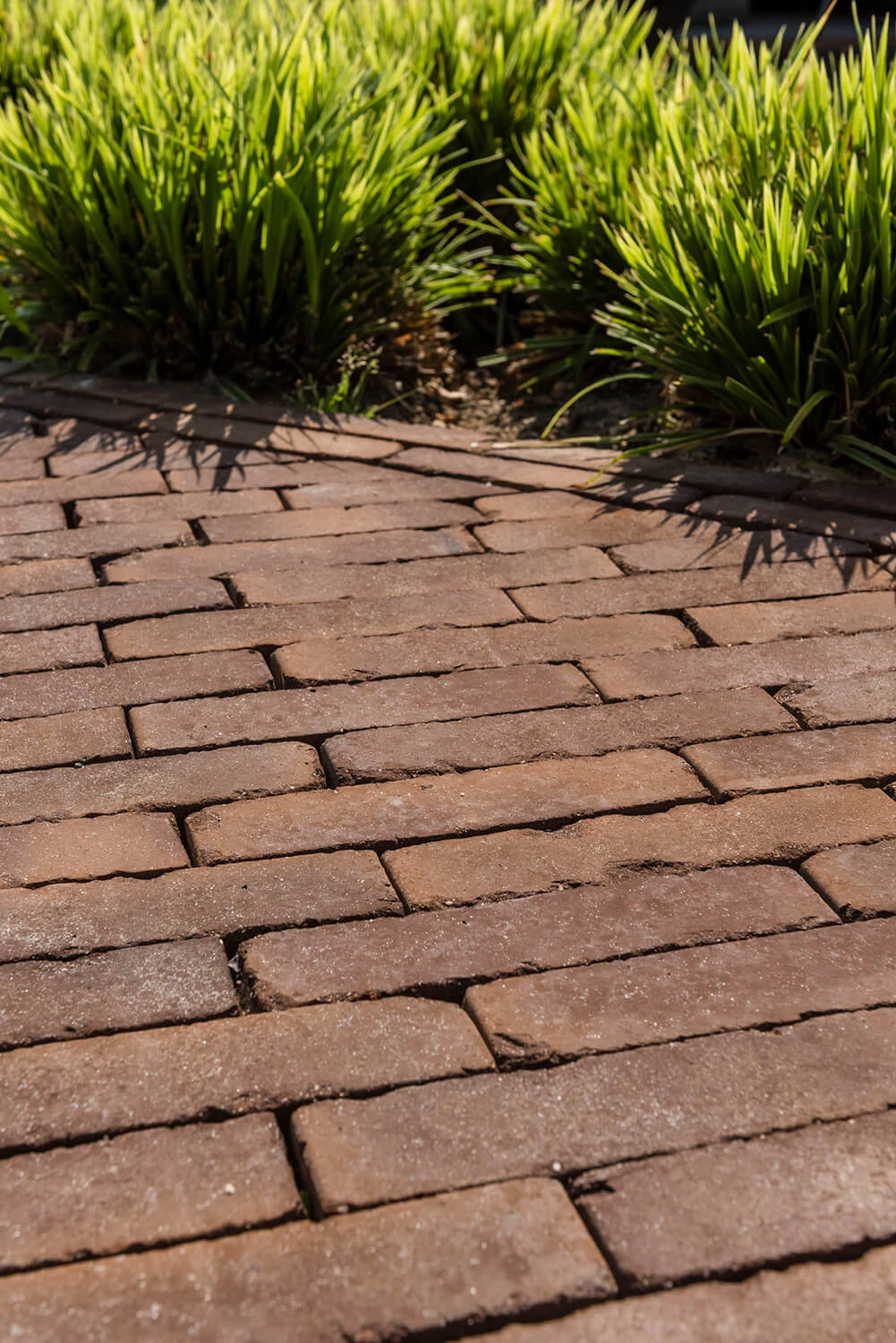 roma-antica-realizacja-01-lg