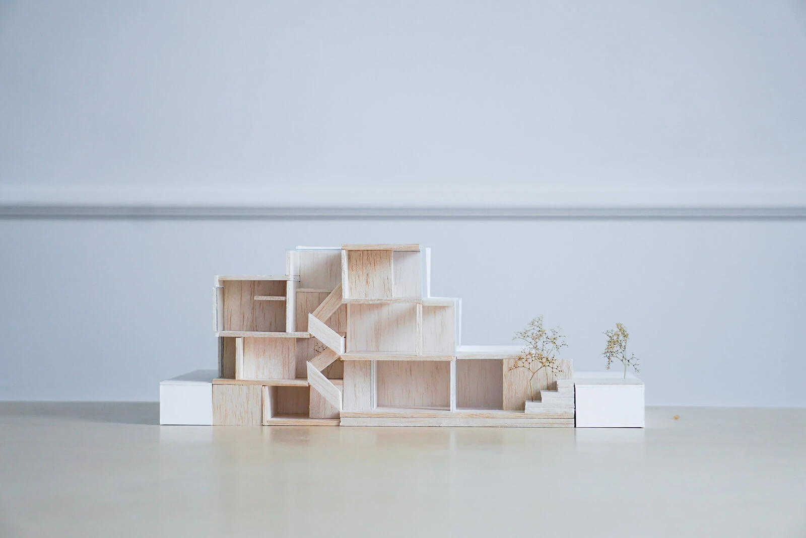 dzc-0617-slim-house-18