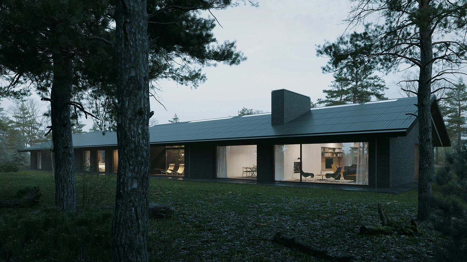 dzc-0317-dom-w-lesie-08