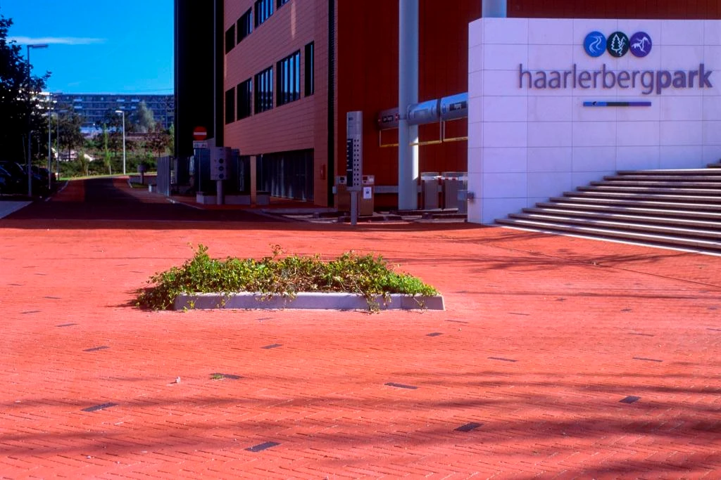 realizacja-riviera-huwa-11