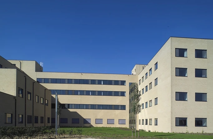 realizacja-8-lindebloem-vandersanden-17