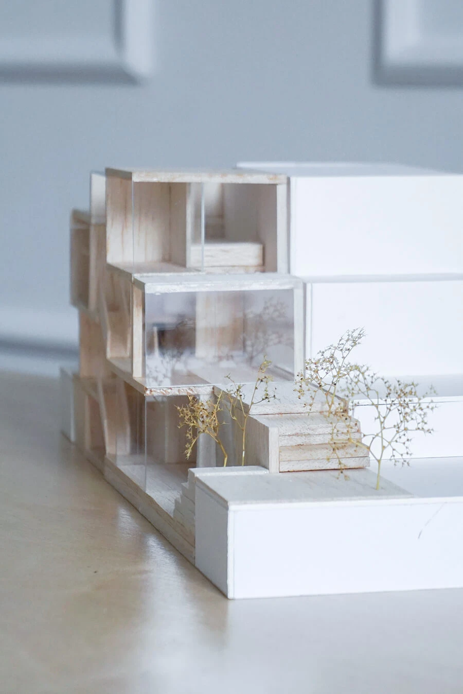 dzc-0617-slim-house-20