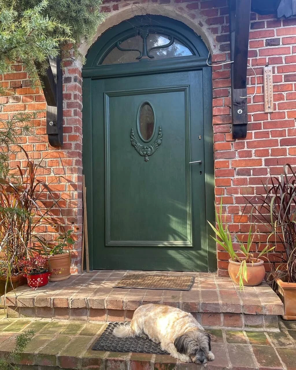 dom-pod-krolikiem-01