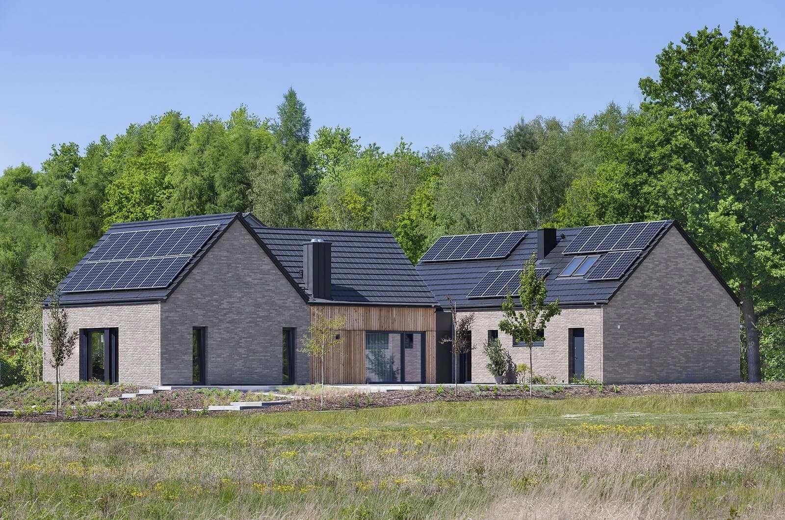 dzc-0387-dom-jednorodzinny-zacisze-lesne-01