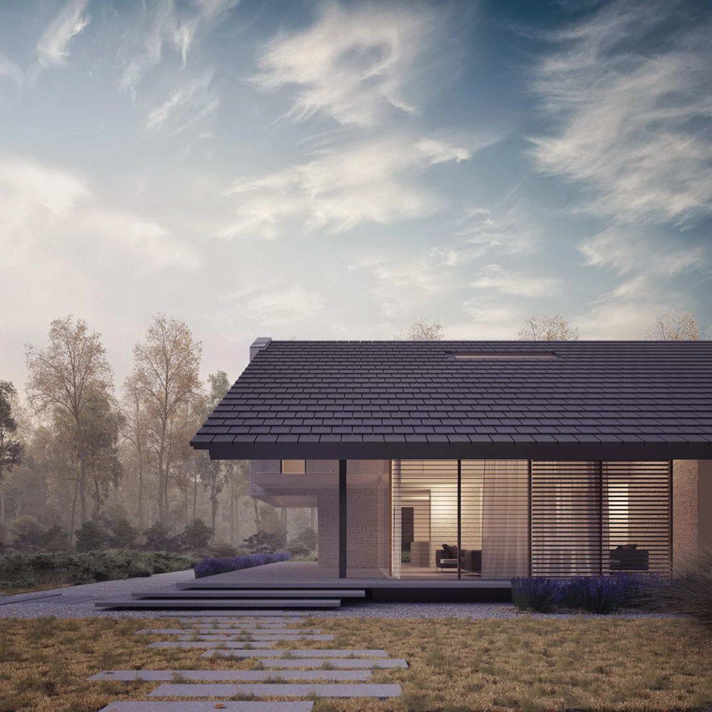 dzc-0138-dom-jednorodzinny-w-szczecinie-04