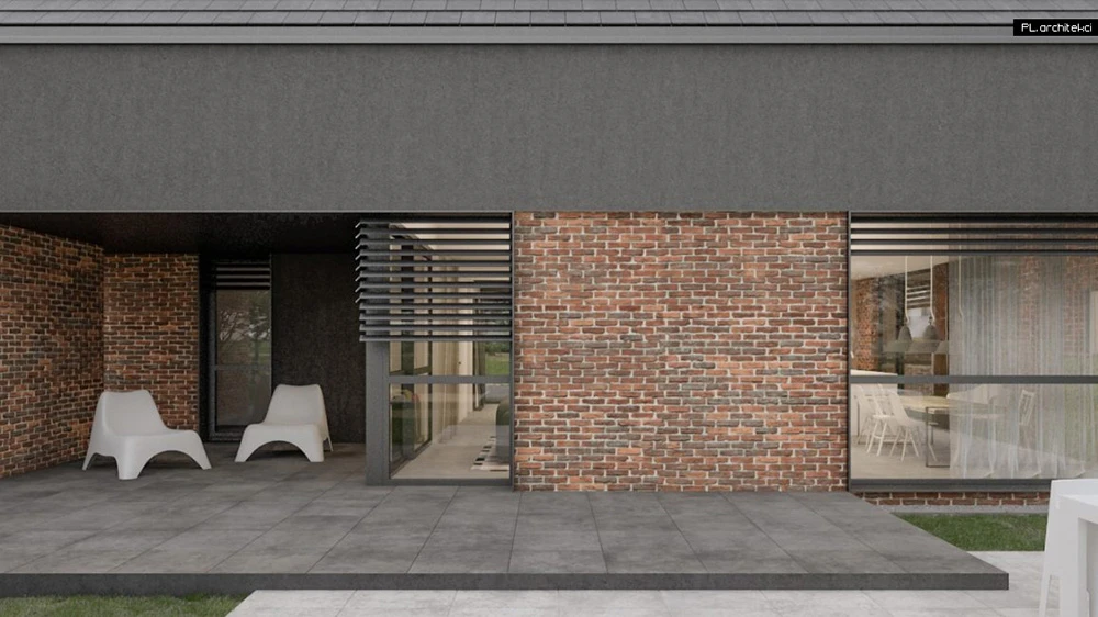 dzc-0134-dom-jednorodzinny-pal_2-01