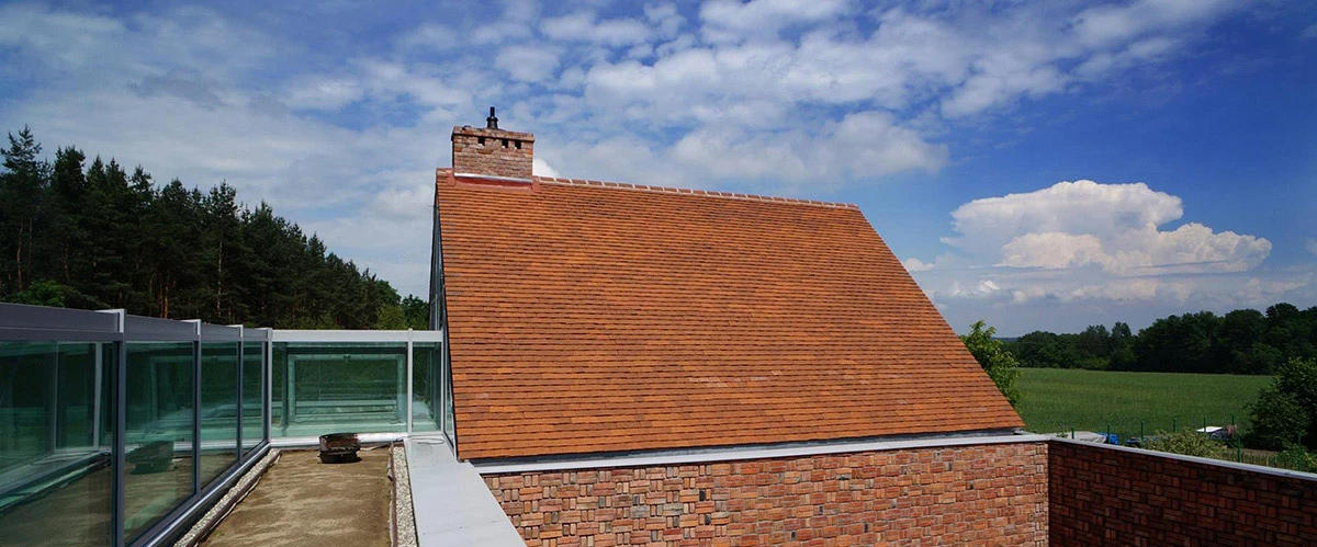 dzc-0116-rudy-dom-10