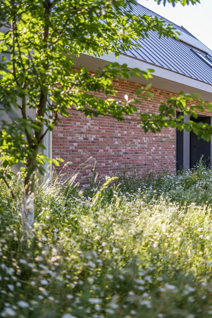 dzc-0193-dom-z-dachem-dwuspadowym-04