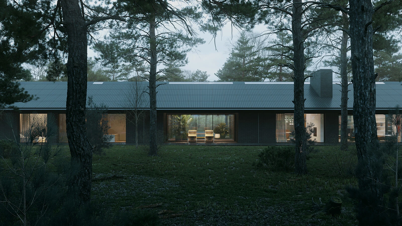 dzc-0317-dom-w-lesie-07