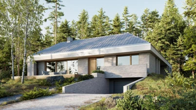 dzc-0787-dom-udrzewiony