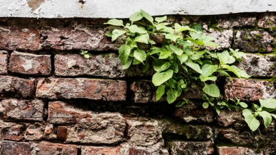 konstrukcje-klinkierowe-kilka-porad-jak-uniknac-problemow