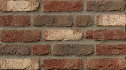 DYKBRANDRETRO flamandzka cieniowana - miniatura