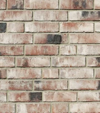 wiesmoor-kohle-biala