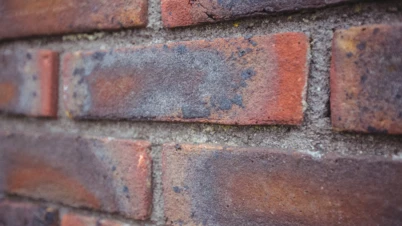 ocena-wlasciwosci-cieplnych-czerepu-w-ceramicznych-elementach-murowych