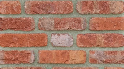 FORMBACK RETRO jasnoczerwona cieniowana -miniatura