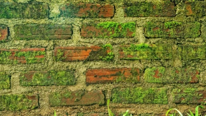 odpornosc-elewacji-ceramicznych-na-porastanie-glonami-i-porostami