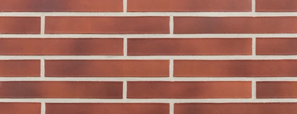 darwin-xldf-czerwonobrazowa-gladka