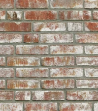 geestbrand_biala_cieniowana_lg