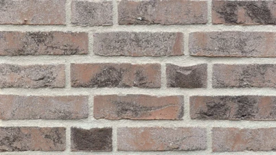 KOOGBRAND szara cieniowana - miniatura