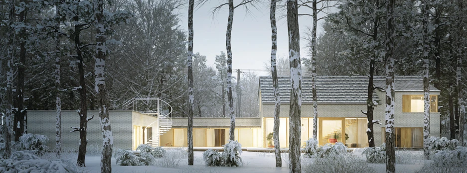 dzc-0091-dom-jednorodzinny-05