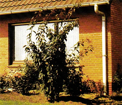 08.jpg